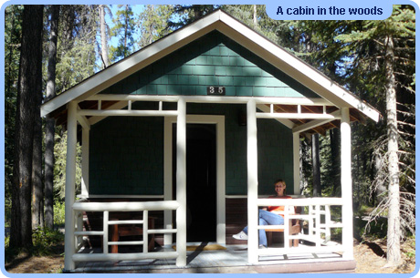 A cabin in the woods