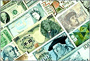 Foreign Currency